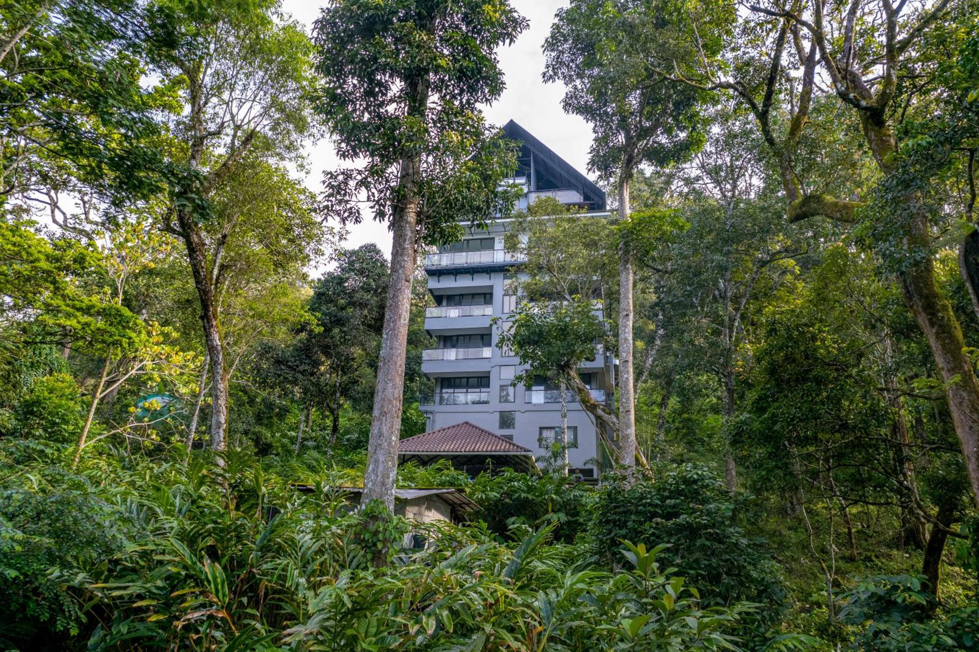 K Mansion Apartment Munnar Exterior foto